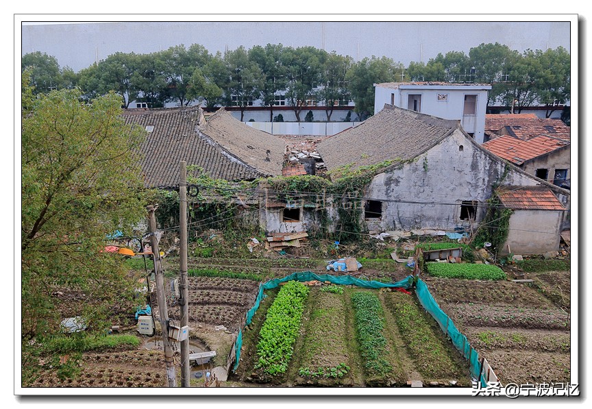 宁波北仑衙前,即将消失的衙前村