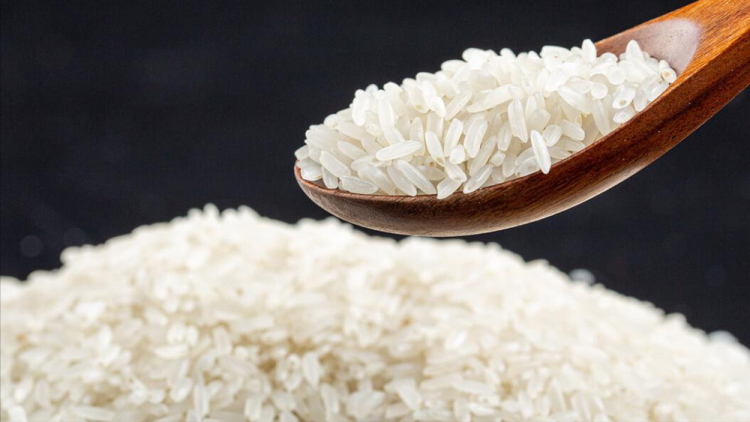 中国第一米原产地原阳大米,原阳大米属于什么米