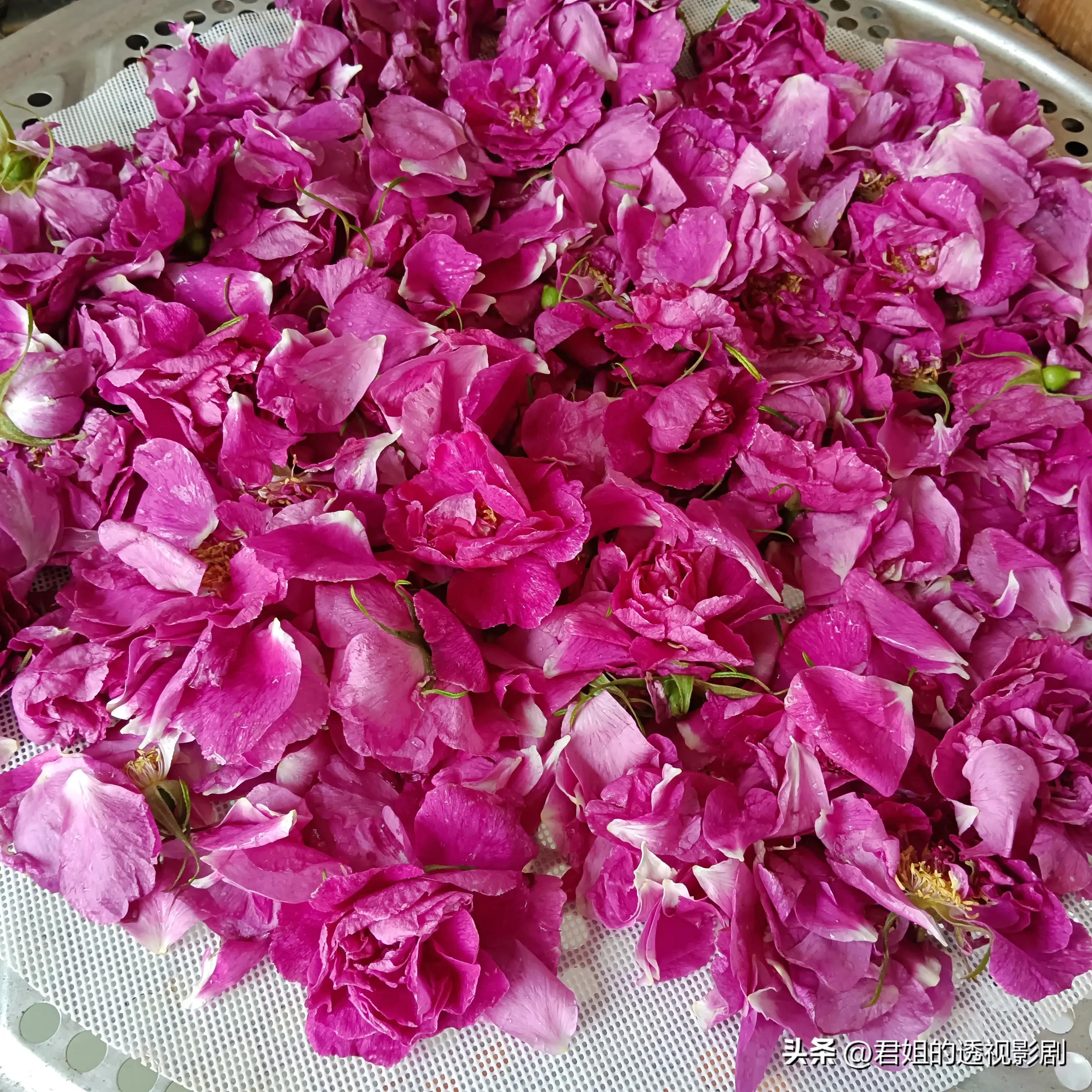 怎样制作玫瑰花糖窍门,玫瑰花糖怎么做的视频