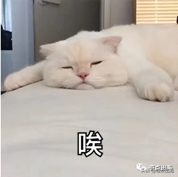 cdf买的东西没有清关记录 (cds未注册是否影响清关)