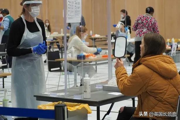 pcr精准检测,pcr实时检测