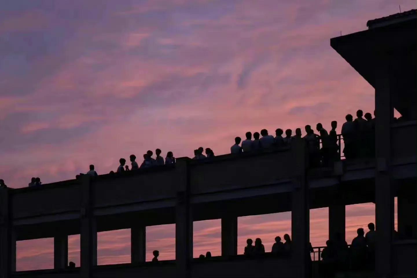 不想努力了怎么办,不想努力了怎么办啊