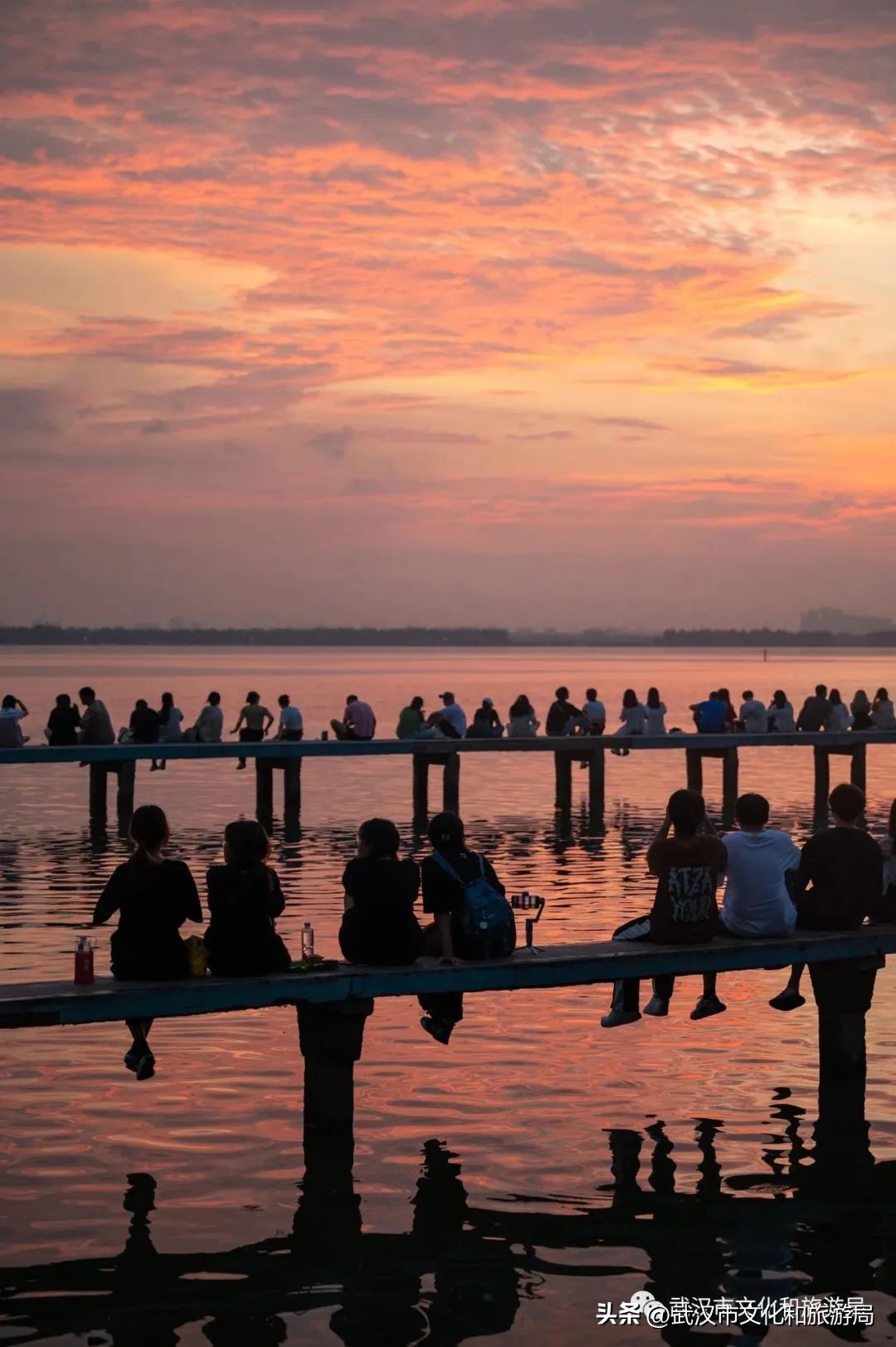 武汉不花钱看樱花地点,来武汉一定要看两坝一峡登黄鹤楼