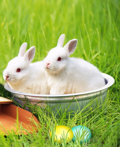 做一个不一样的自己新的自己,做一个不一样的自己女声完整版