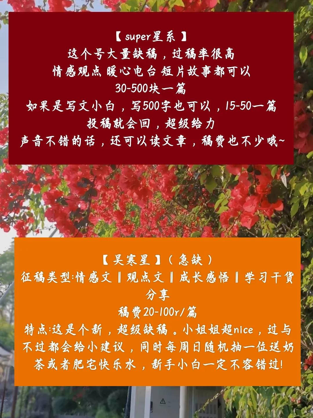 投稿写作,写作投稿的全套流程