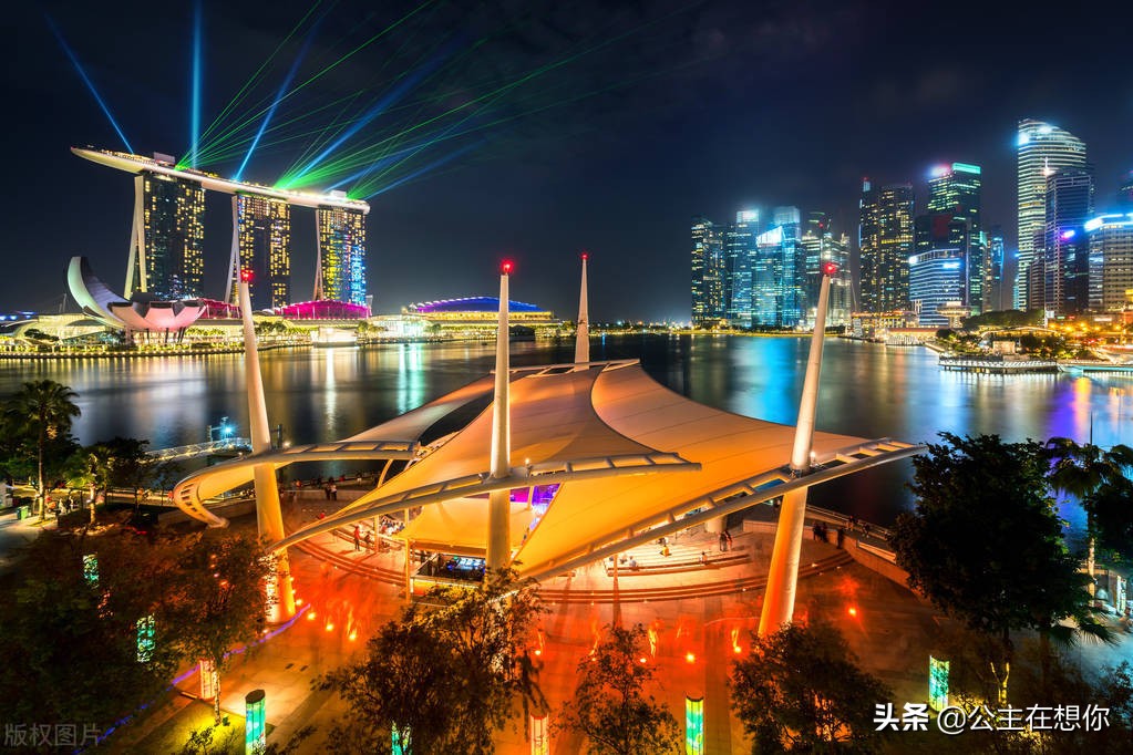 新加坡7个冷知识英文,世界上养猫最多的国家