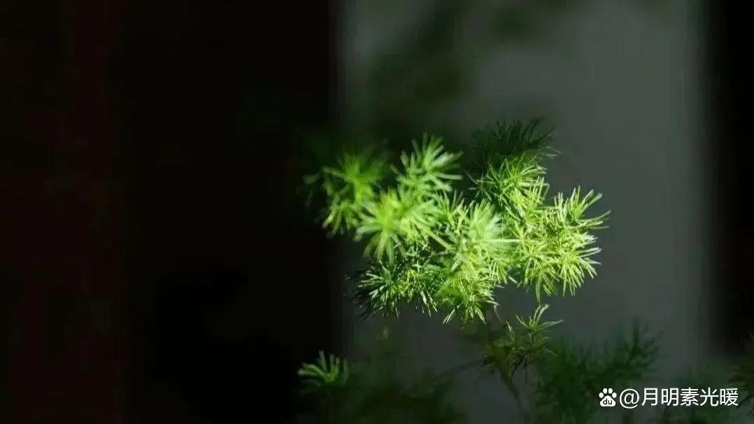 外汇投资有哪些技巧,外汇投资的方式是什么