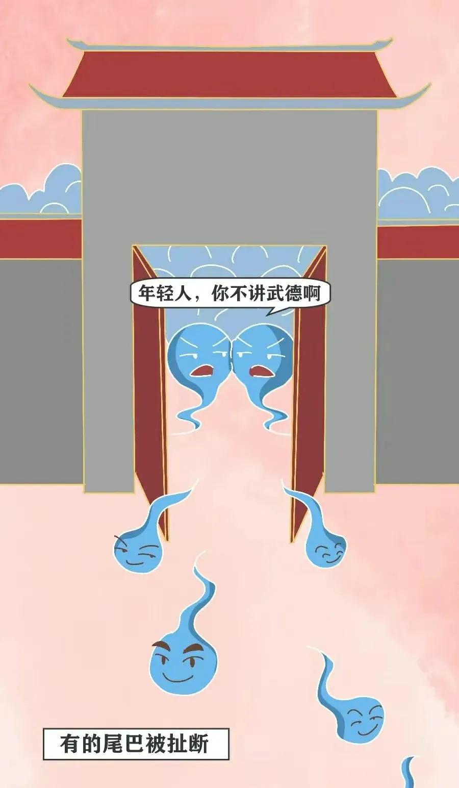 精子是怎么进入对方体内的，真是历经九九八十一难！