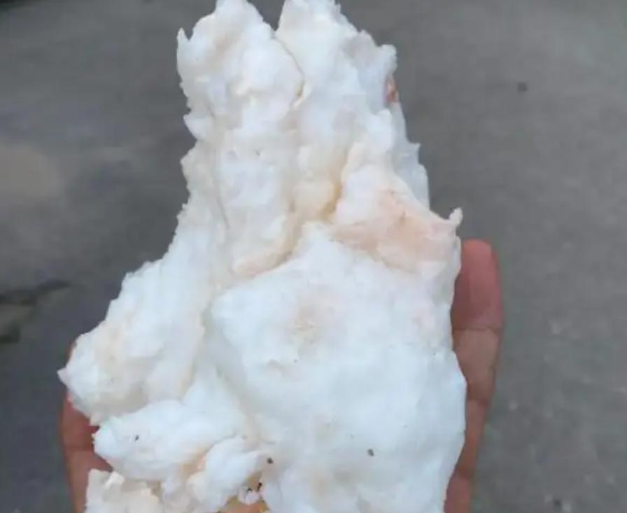 1斤能卖多少钱的东西,1斤以内太岁出售