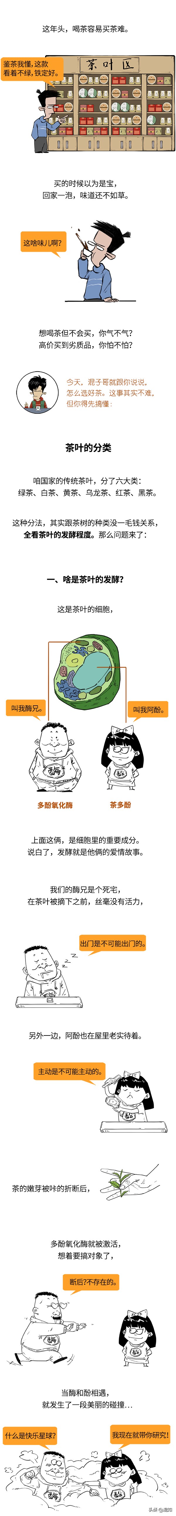 不懂茶的小白如何避坑选茶,茶小白速看新手买茶的八条铁律