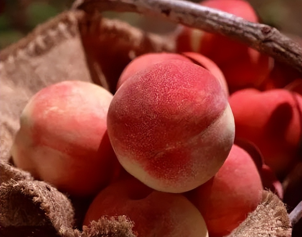 桃子四种人不宜吃,桃子哪些患者不能吃