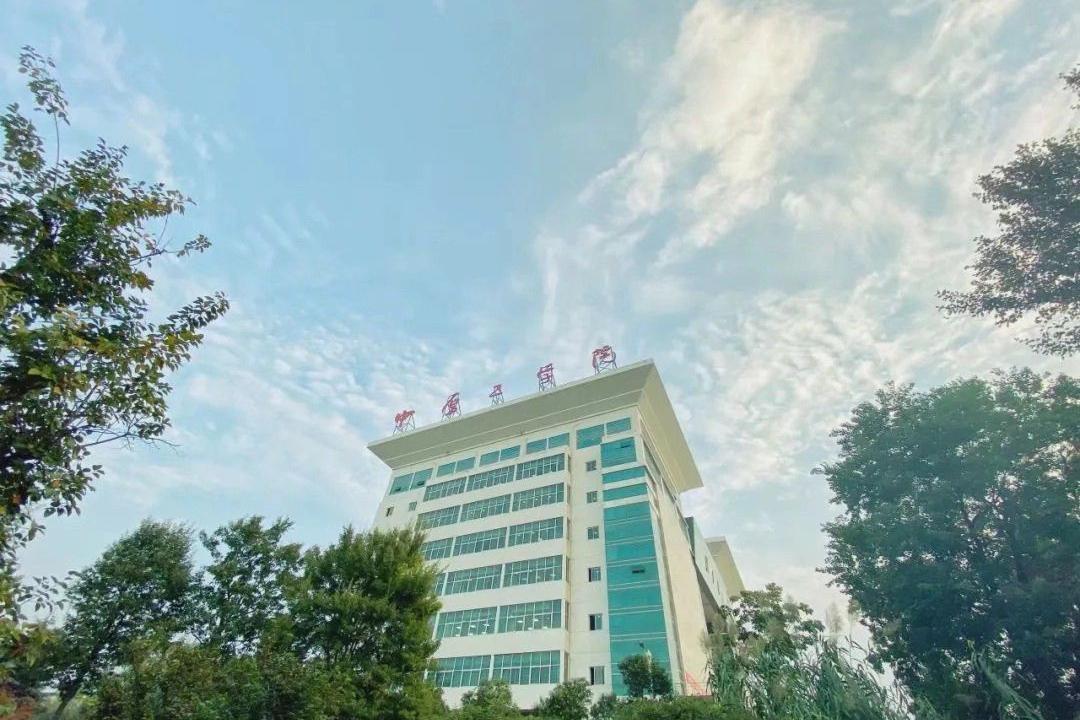 一般的民办高校有哪些,民办高校最好的是哪一所