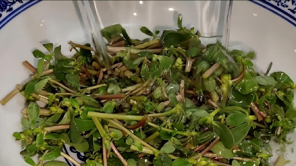 避免结节发展到癌应该多吃什么,不使结节变癌的几种不能吃的食物