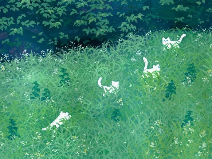 朋友圈背景图女生,朋友圈背景图动态视频