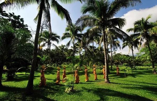 云南西双版纳旅游攻略app,云南西双版纳旅游攻略自由行12月