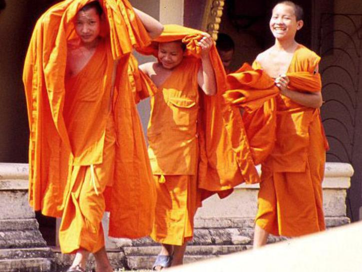 藏红花是智商税还是真的有用,为什么藏红花有贵有便宜