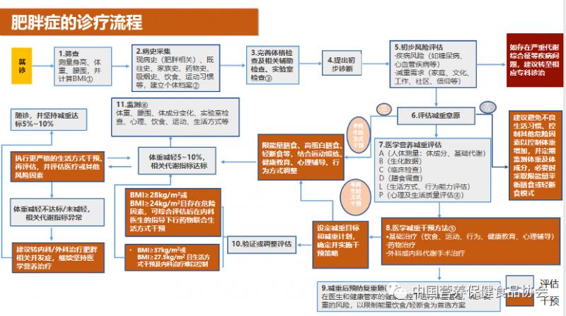 陈伟医生十天快速减肥方法,陈伟医生青少年肥胖