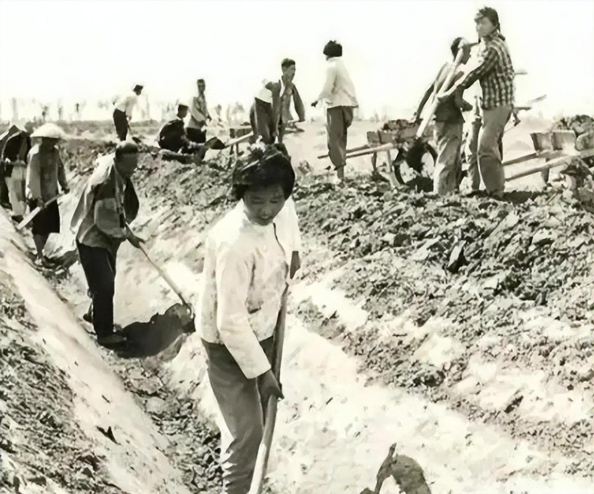 日军日记：在徐州建立了慰安所，不听话的女人就割掉其乳房!4