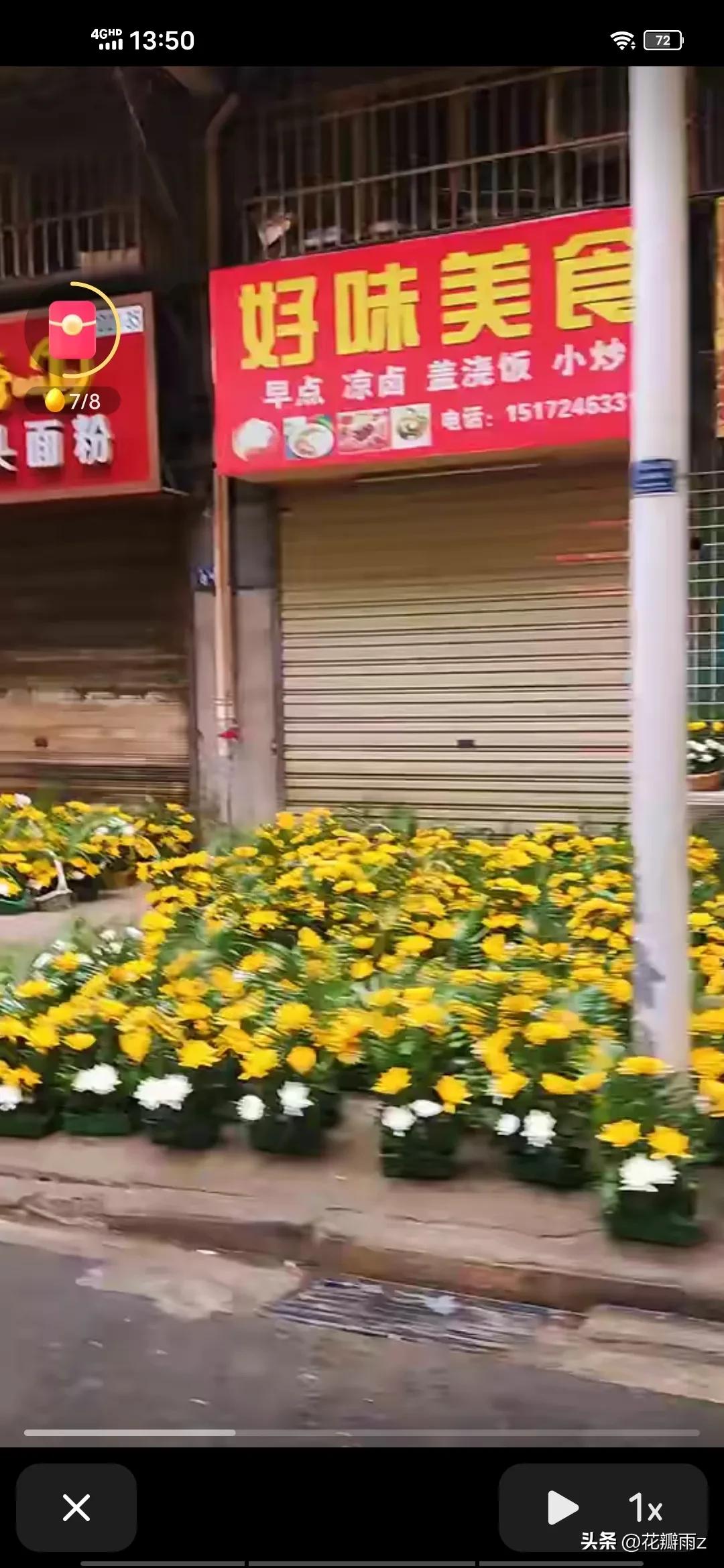 满城尽是菊花殇！大年三十武汉街头摆满菊花