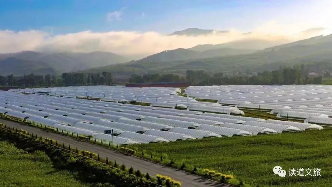 乡村振兴100讲全集,100个经典乡村振兴案例