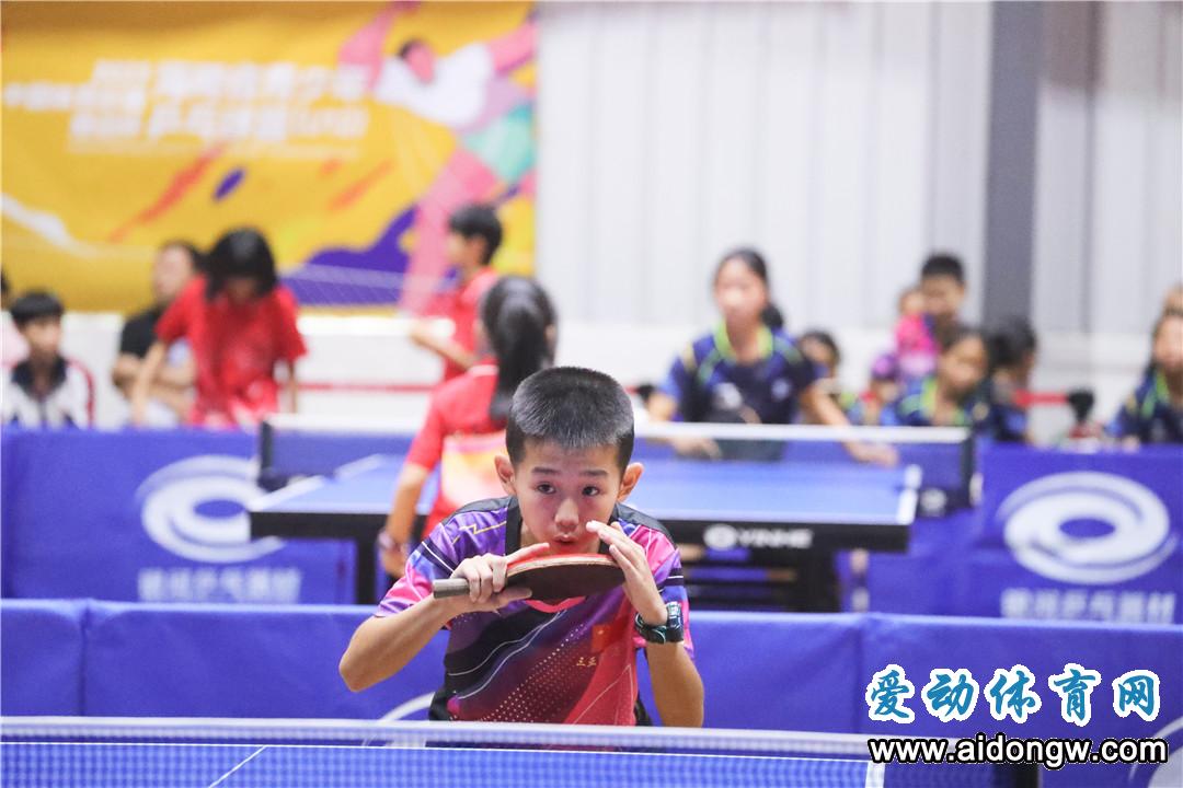 2019年海南省青少年乒乓球锦标赛,海南u12乒乓球比赛