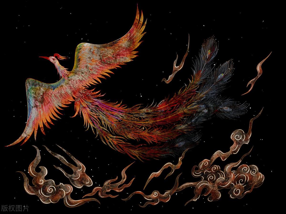 凤凰逐日的寓意和象征,飞翔的凤凰寓意