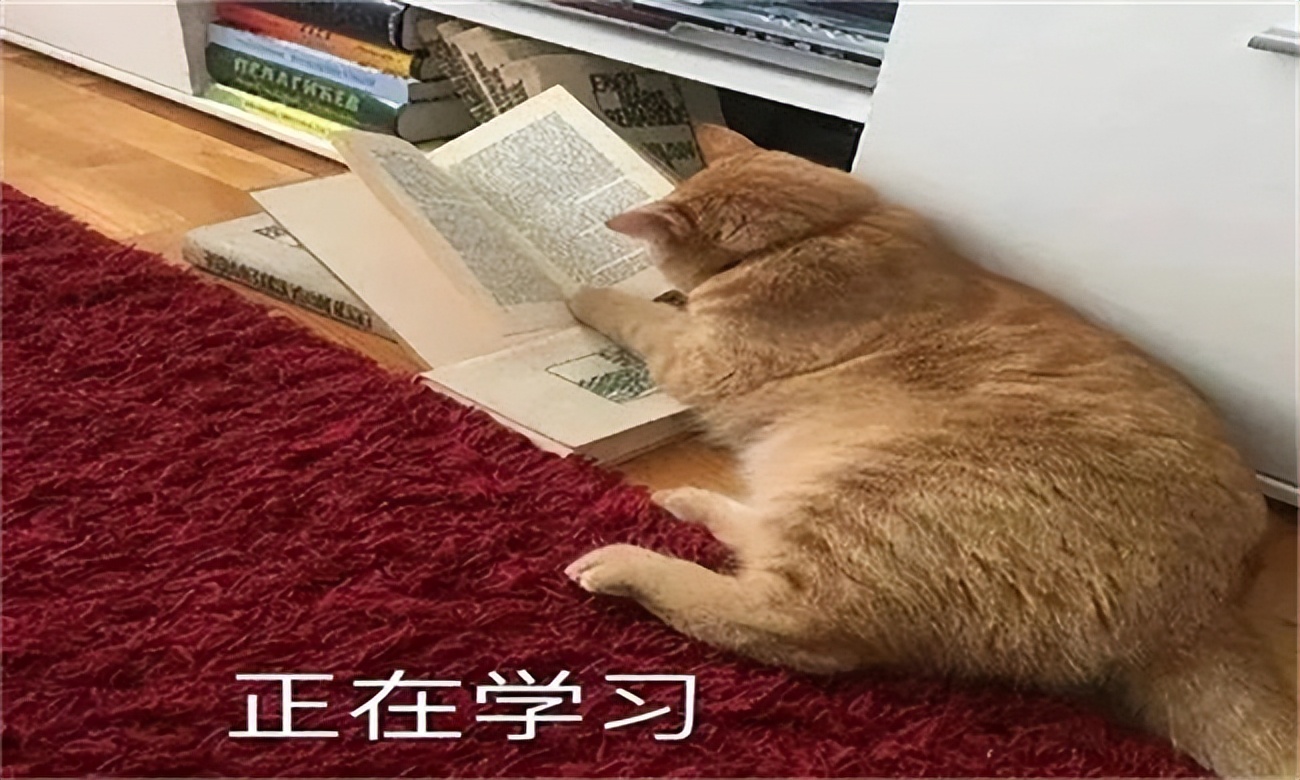 孩子成绩不好不想上学怎么办,八岁孩子不想上学怎么办