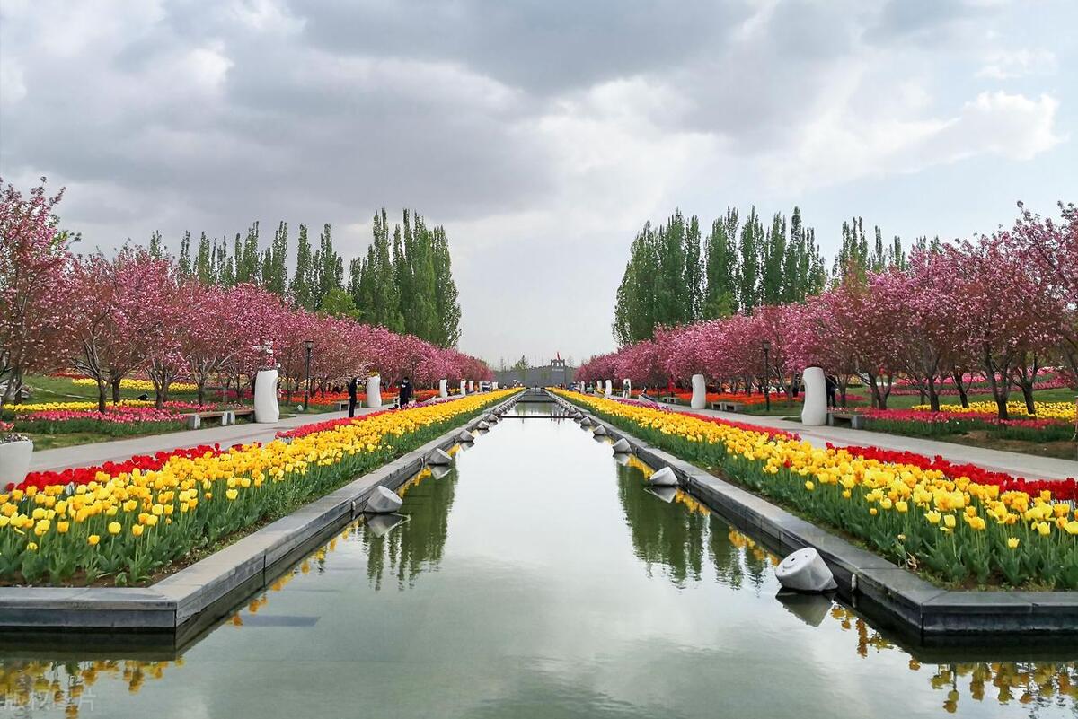 2022上海赏花时间一览表,上海赏花时间表