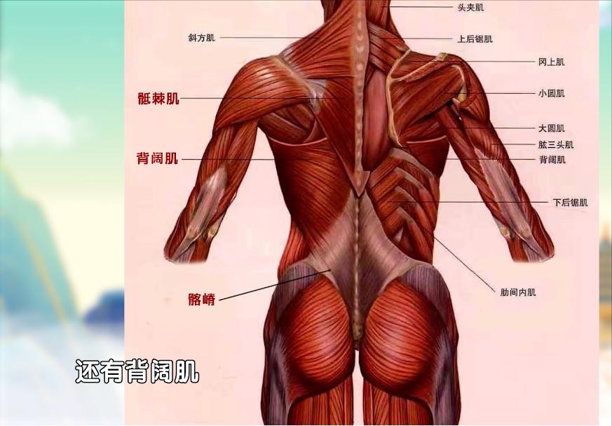 腰肌劳损如何治疗和恢复,腰肌劳损是怎么造成的如何根治