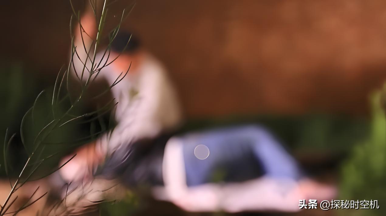 2014年，桃木枝戳穿*体下**？河北女子死状诡异，求爱日记本藏杀机