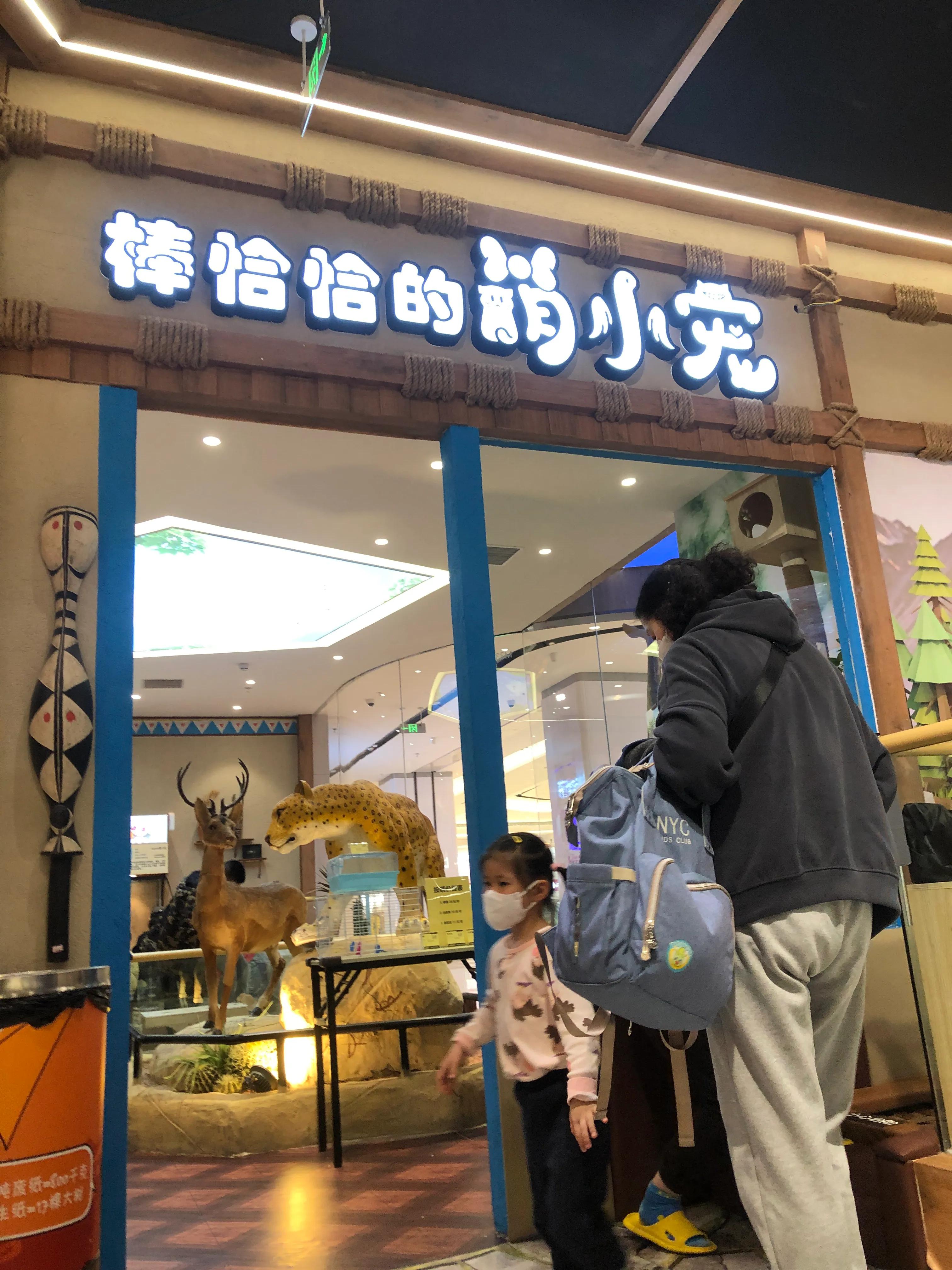 门头沟中骏世界城卡通尼Safari非洲探索乐园带闺女探店