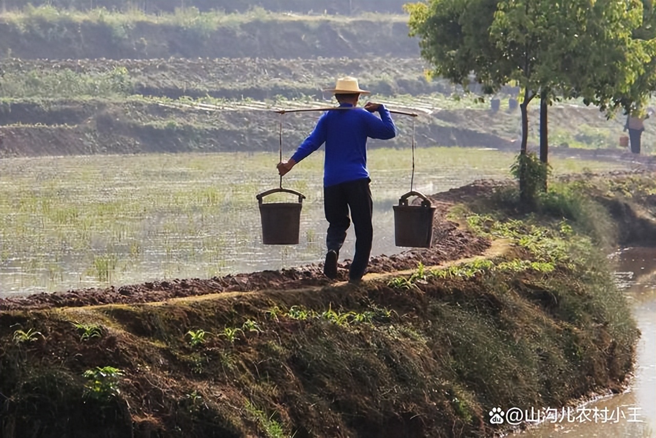 自己有房子回村创业做快递怎么样,返乡创业做什么项目比较好