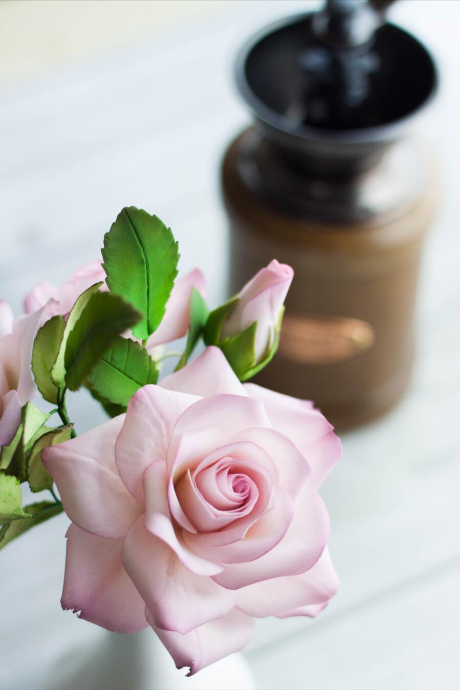 聪明又正派从不耍心机的星座,看似没有脾气实则最难哄的星座