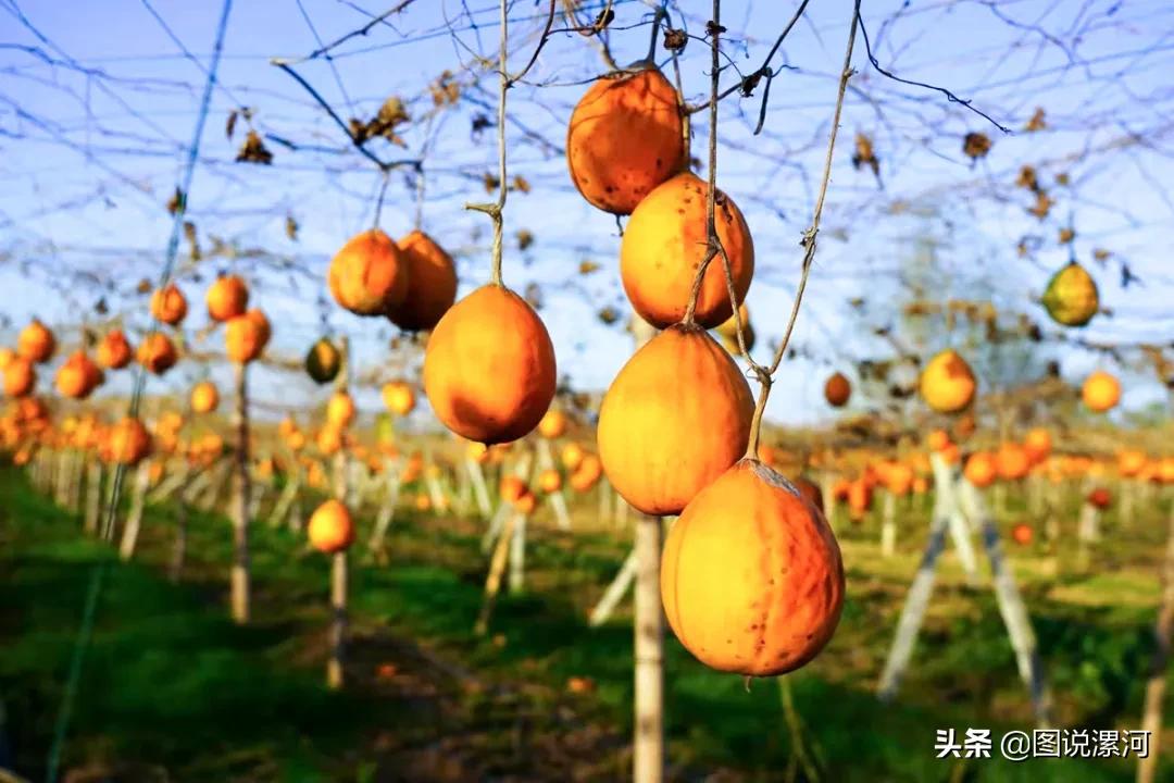 摄影比赛获奖名单公示,摄影大赛颁奖活动暨摄影展美篇