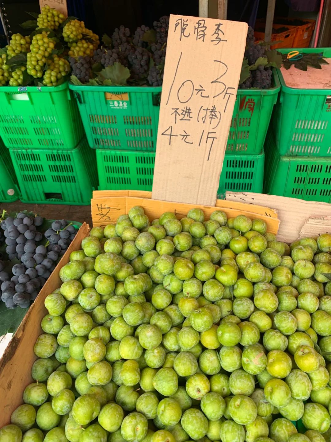 收什么废品能月入过万,兼职捡废品一个月能挣多少