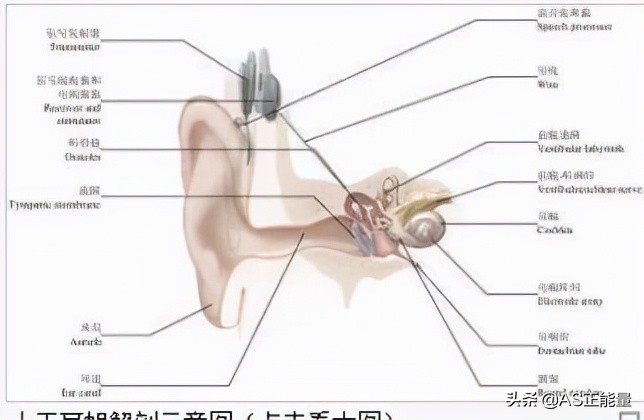 历史上的今天1月26日查询,2月26日历史上的大事件