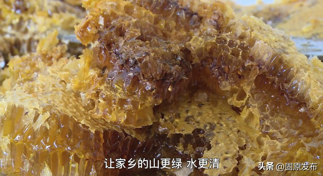 西吉土豆哥直播,西吉土豆哥视频