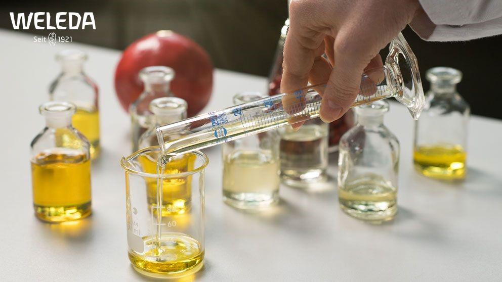 绿色有机美容护肤品牌WELEDA：一个世纪的零碳故事