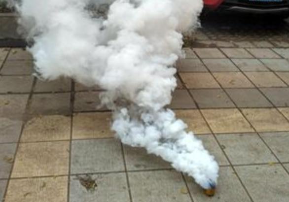 在野外遇到毒蛇怎么办,在野外遇到蟒蛇该怎么办