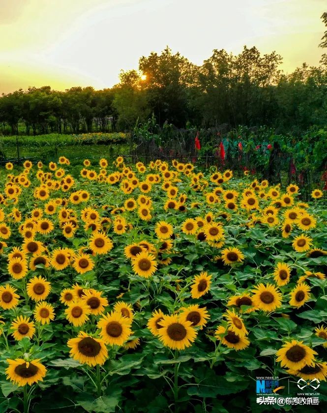 小众目的地冷门避暑景点,皖北地区避暑胜地有哪些