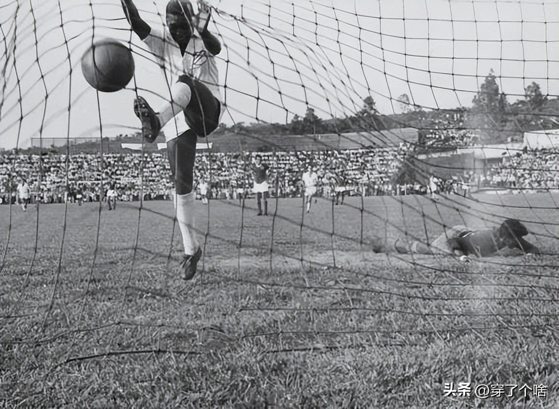 贝利生涯数据,贝利世界杯生涯