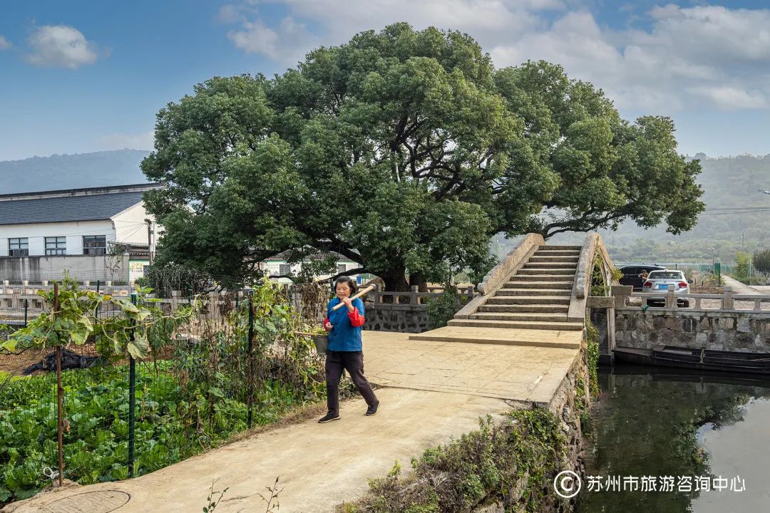 苏州秋冬打卡景点推荐,苏州人少景美的小众旅行地