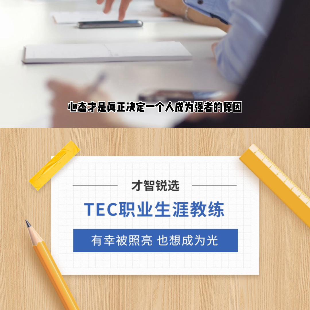 杨天真的在线职业规划,壹心娱乐杨天真采访职业规划