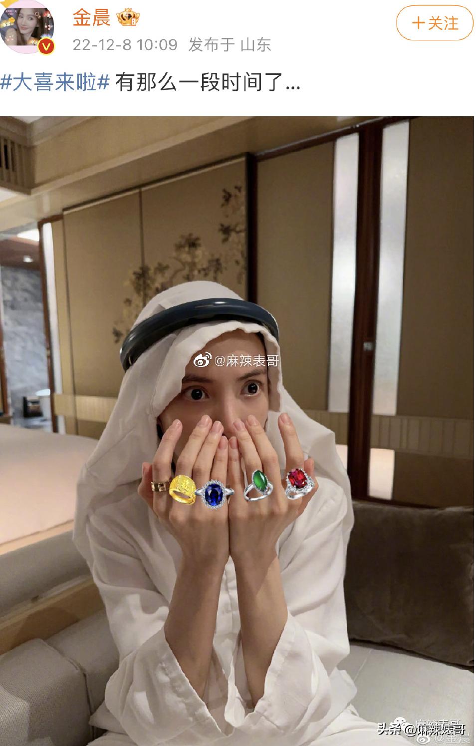 金晨模仿卡塔尔小王子晒照,金晨模仿卡塔尔王子被起诉了吗