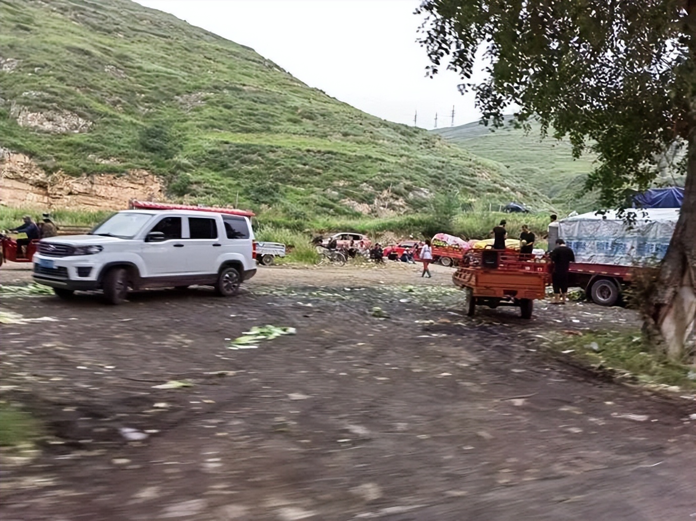 灏忓ぉ灞遍夯鐢板箔鏅尯鍦ㄥ摢,楹荤敯宀皬澶╁北鐢ㄩ绾﹀悧