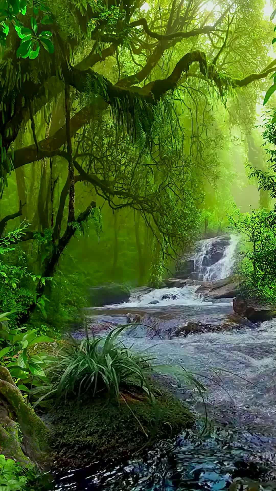 高高的紫云山,我们的青春故事曾在这里演绎