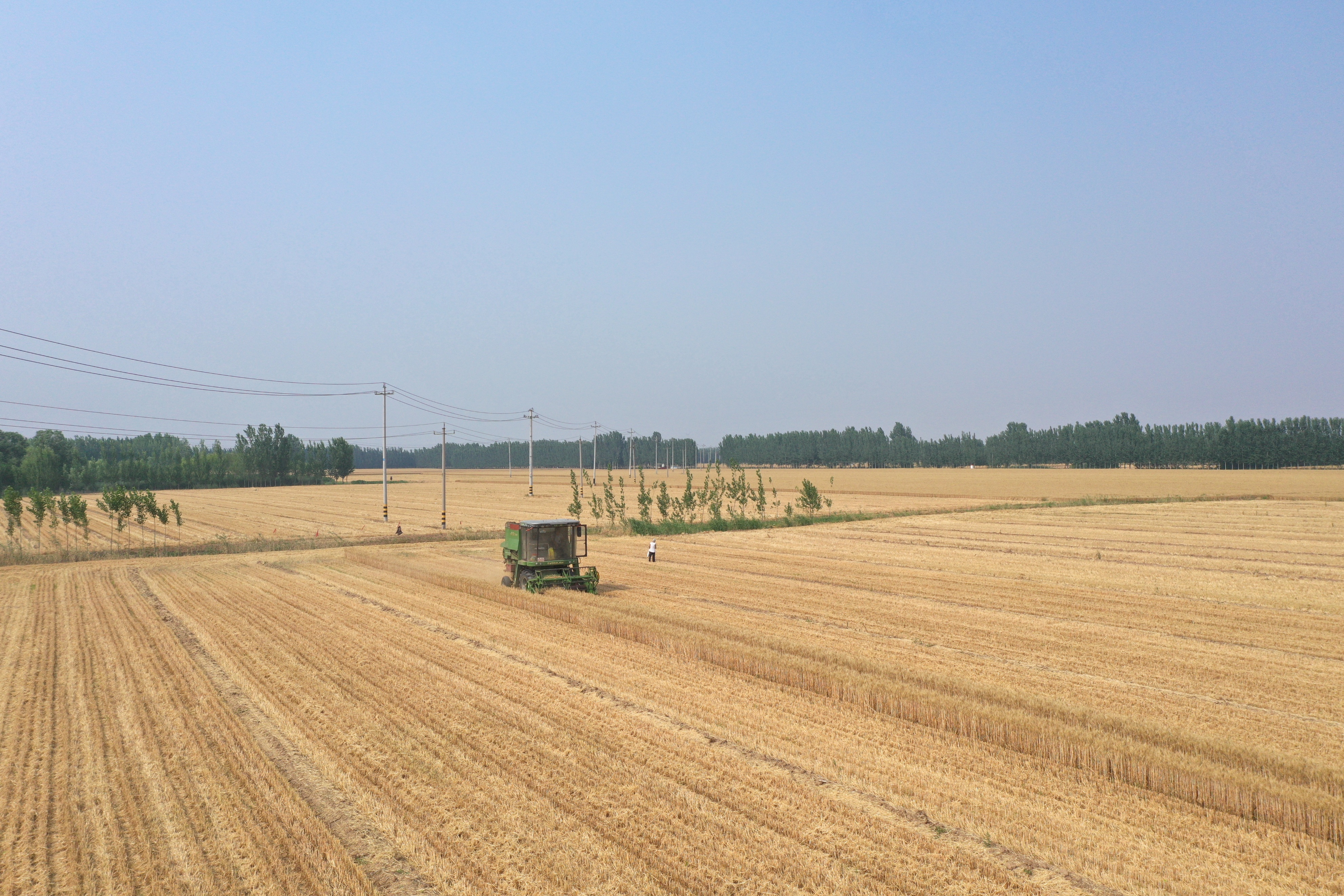 滨州邹平台子,滨州的光芒