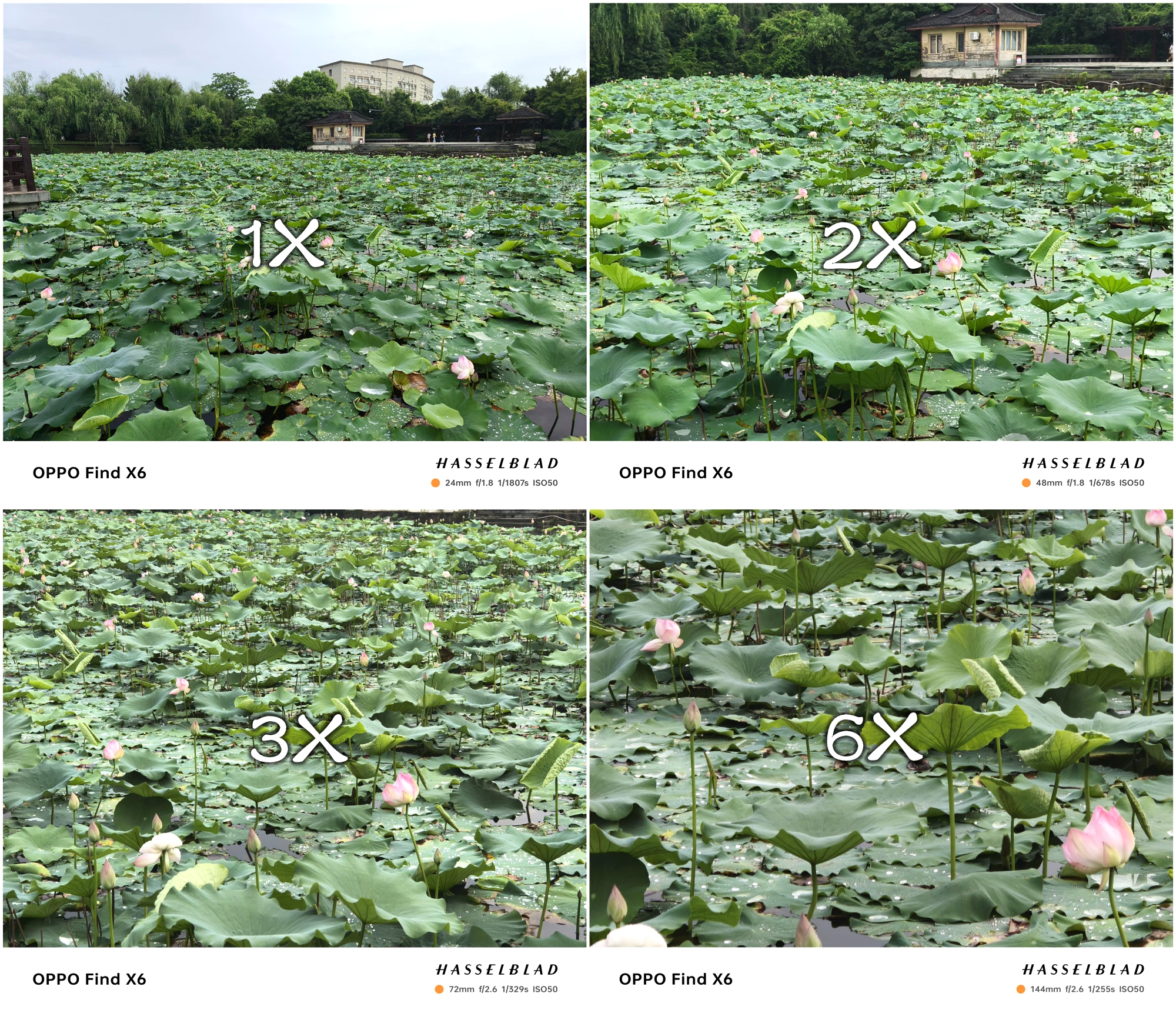 oppofindx6拍照真的很惊艳,oppofindx6pro超光三主摄