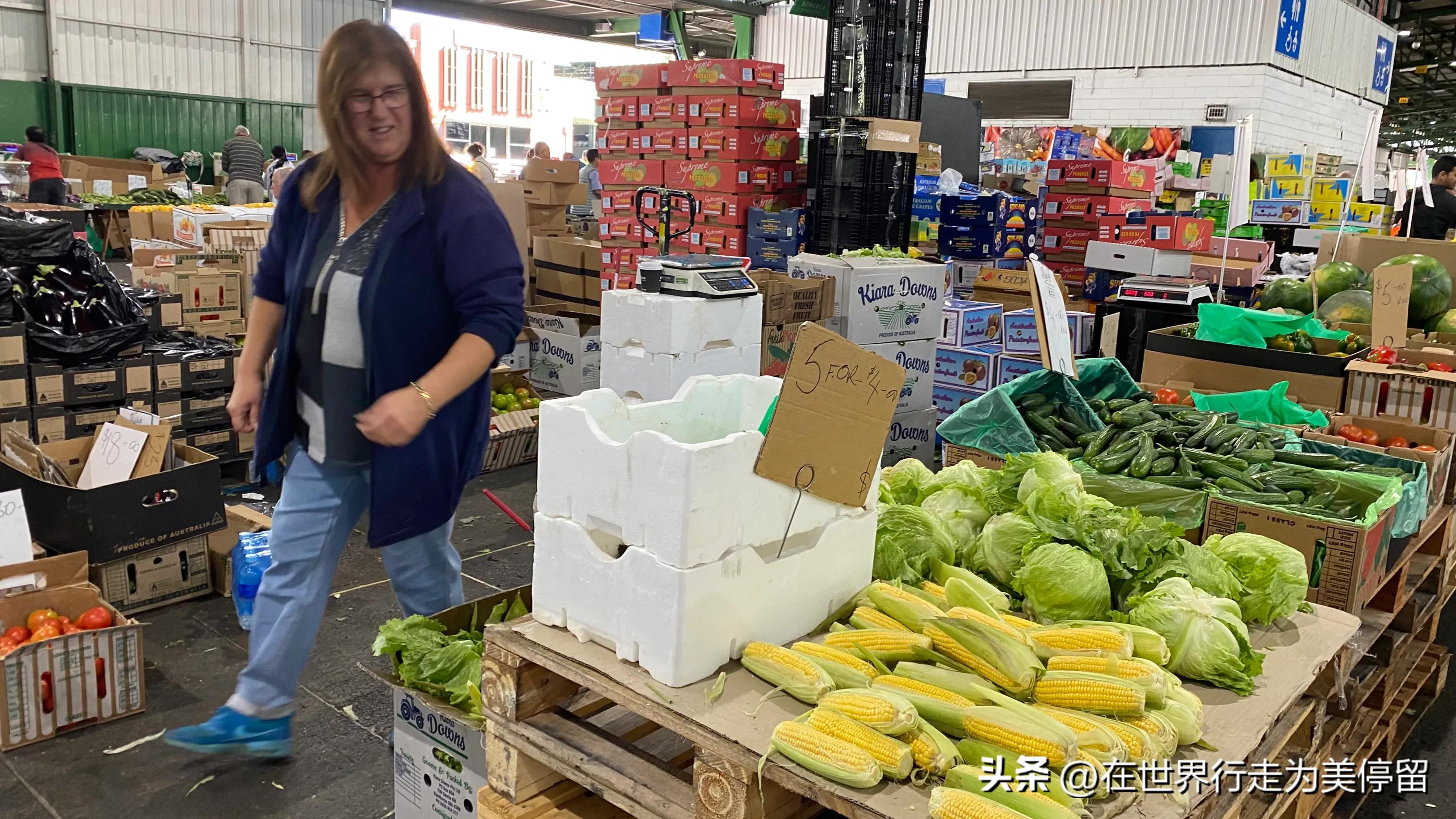 澳洲悉尼蔬菜农贸市场,墨尔本最大水果蔬菜批发市场
