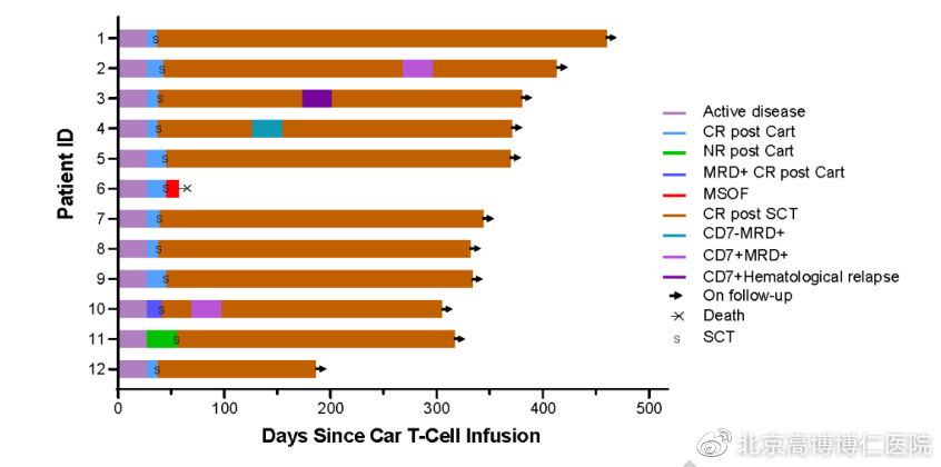 供者来源CD7CAR-T桥接同一供者异基因移植治疗T系肿瘤，安全有效